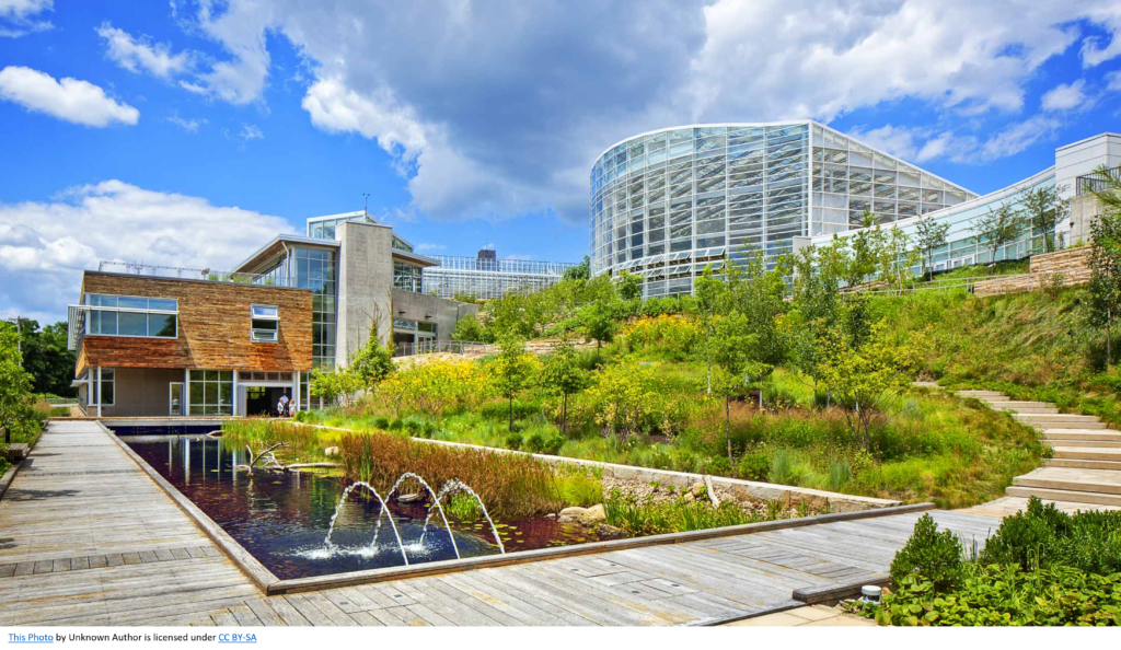 View of Eco-Friendly Living: Exploring Green Homes in Toronto - irina