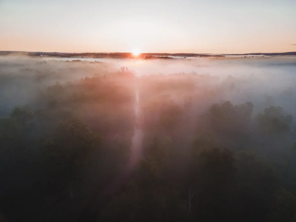 Sunrise mist over the Minesing Wetlands near Angus and Essa Township, Ontario