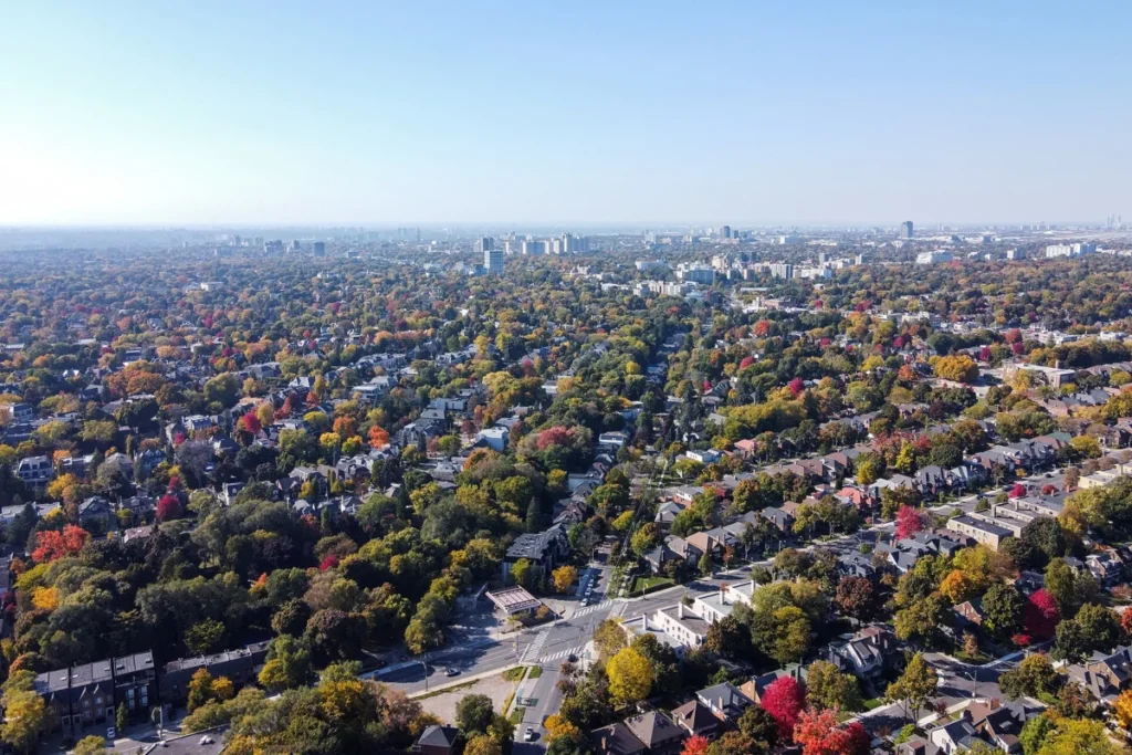 Autumn view over the tree canopy and homes of Forest Hill South, Toronto