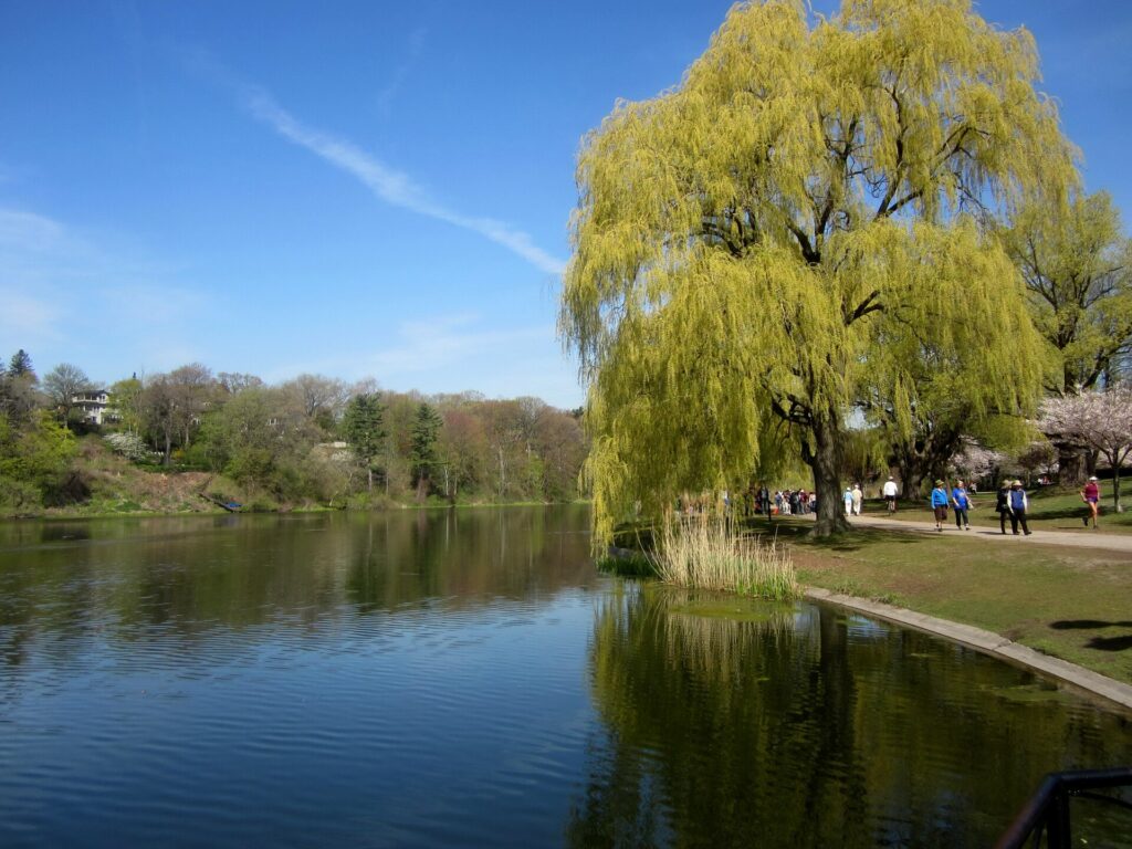 Grenadier Pond in High Park, West Toronto
