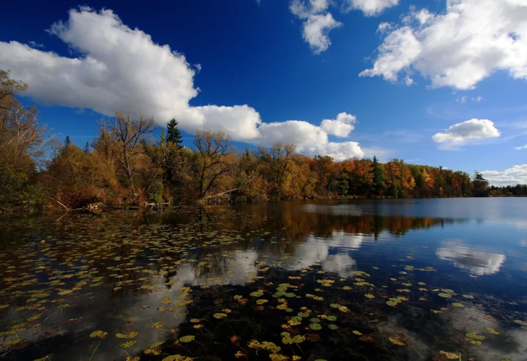 Autumn colours reflected in Seneca Lake, King City, Ontario